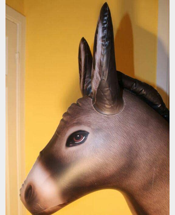 Amazon | ロバ フロート 空気ビニール風船 浮き輪 レア 日本未発売